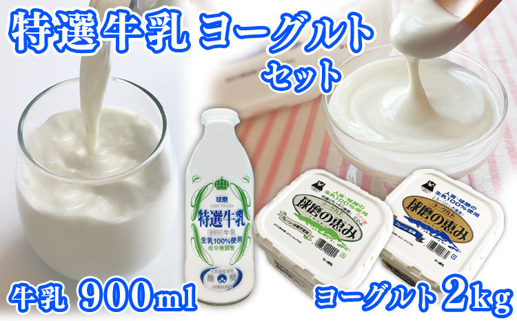 特選牛乳・球磨の恵みヨーグルト(加糖1㎏・砂糖不使用1㎏)セット【牛乳900ml：賞味期限　到着後6日】