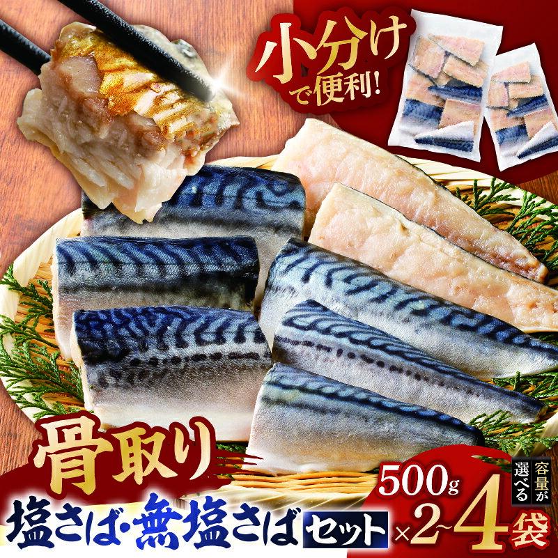 【ふるさと納税】【容量が選べる】人気の骨取りさば(塩/無塩) 2点セット 千葉県 南房総市 塩サバ 無塩サバ 鯖 切り身 骨なし 骨取り 海鮮 魚介 おつまみ おかず 惣菜 弁当 冷凍 セット お取り寄せ グルメ 送料無料