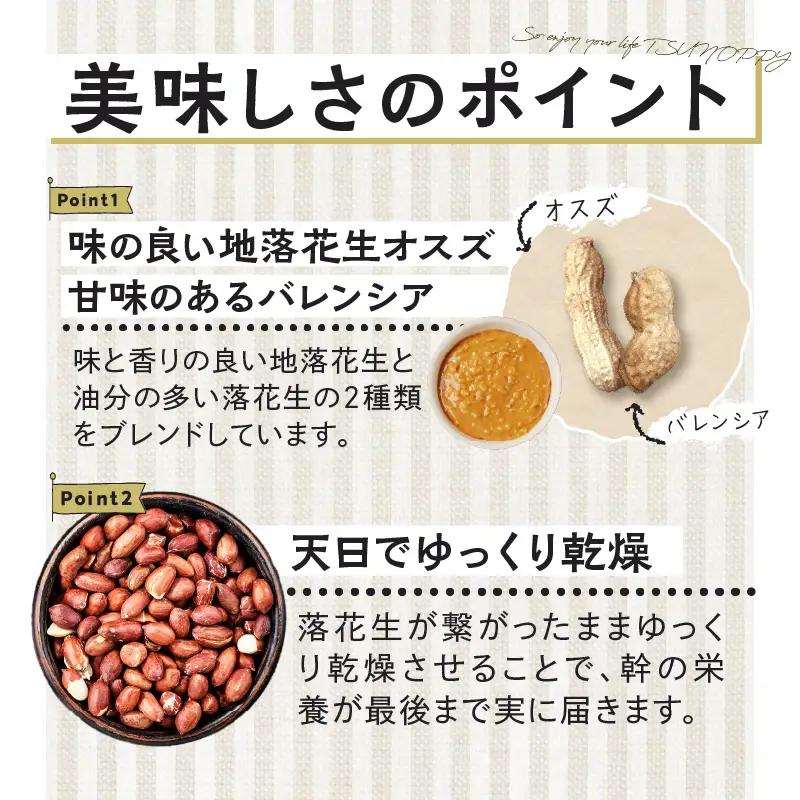 【2週間以内発送】＼ポスト投函／小さい農家がこだわって創った「ピーナッツドレッシング(オリジナル)計1本」 落花生 調味料 国産_T024-0065
