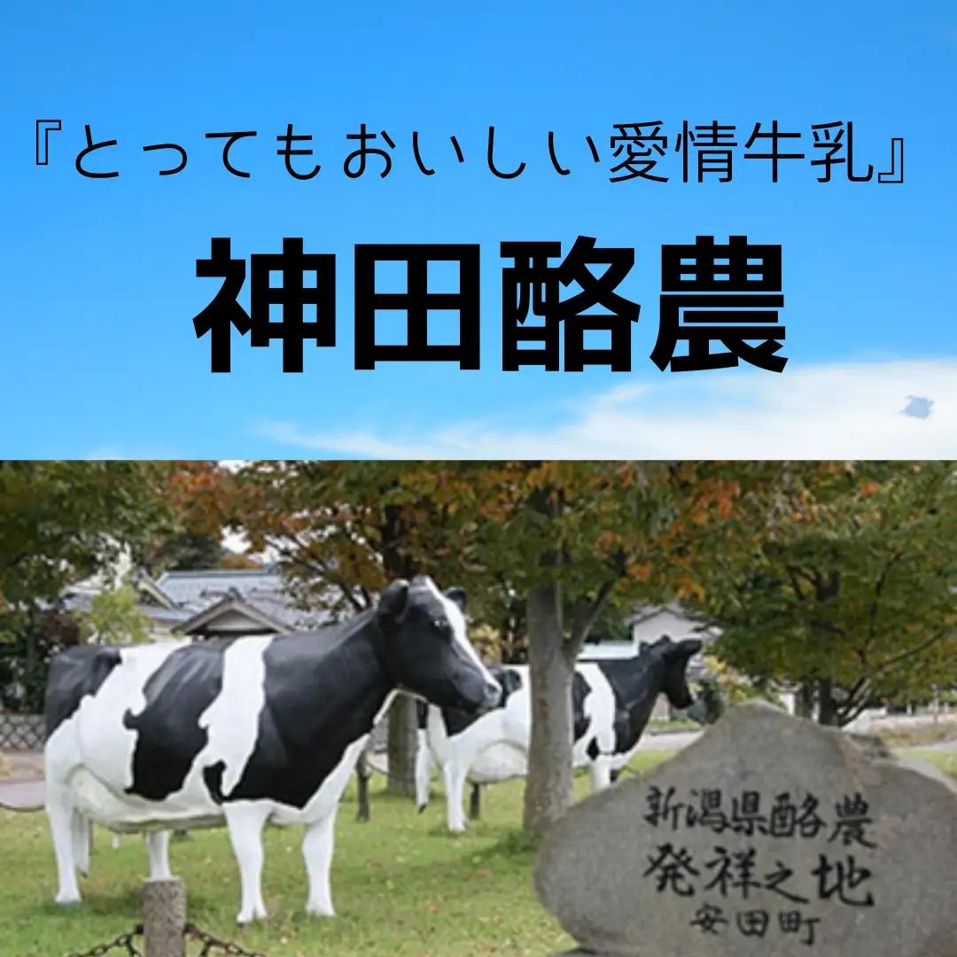 生牛乳クリーム ギフトボックス アイス アイスクリーム ジェラート ミルク いちご スイーツ 冷凍 2K01009