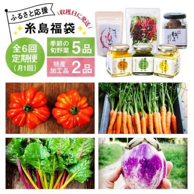 ふるさと納税 糸島市 【全6回定期便】朝採りオーガニック旬野菜5品+糸島産 大ヒット特産加工品2品セット[AGE030]