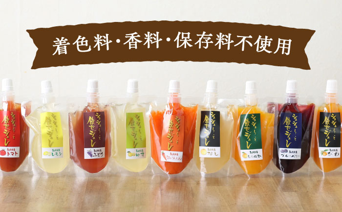 シュシュっと飲むジュレ定番8種の10個セット / フルーツ ふるーつ ジュース じゅーす フルーツジュース ジュレ じゅれ ドリンク 飲料水 / 大村市 / おおむら夢ファームシュシュ[ACAA039