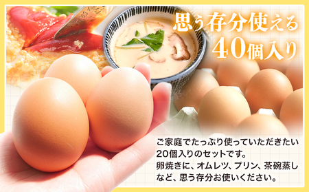 卵 たまご 赤玉 夢の卵 20個入り x 2セット L/LLサイズ《90日以内に出荷予定(土日祝除く)》株式会社めぐみ 岡山県 浅口市 送料無料 大容量 大箱 たっぷり Lサイズ LLサイズ