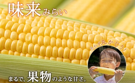 【 2026年 発送 】 北海道産 とうもろこし 味来 計12本 L-2L サイズ混合 大きめ みらい 旬 朝採り 新鮮 トウモロコシ 甘い 夏野菜 とうきび お取り寄せ 産地直送 野菜 しりべしや 