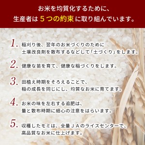 令和7年産 米 金太郎飴生産米 コシヒカリ 山口美祢産 5kg