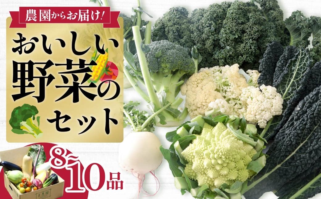 
            西洋野菜 一般野菜 旬野菜セット 8～10品  | 減農薬 野菜ソムリエ 旬野菜 イタリア野菜 珍しい 食べ比べ 生野菜 サラダ 野菜セット 詰め合わせ  ギフト レシピ 贈り物 国産 朝採れ 新鮮野菜 季節の野菜 産直 食品ギフト 手土産 良農園 群馬県 前橋市
          