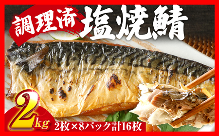 塩焼鯖 16枚 約2kg 調理済み レンチン 大ぶり さば さば さば さば さば