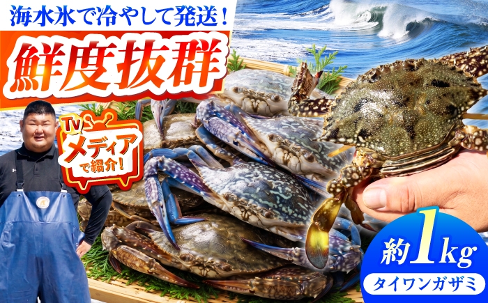 
                  豊前海産 タイワンガザミ 1kg (4～7杯前後) オス メス セット 《築上町》【明青丸】 [ABCB002] ワタリガニ 渡り蟹 蟹 カニ かに わたりがに watarigani kani ガザミ 青蟹 海鮮 魚介類 ギフト 贈り物 贈答用 蒸し蟹 蟹鍋 パスタ カンジャンケジャン 人気 おすすめ タイワンガザミ 渡りガニ 17000 17000円
                