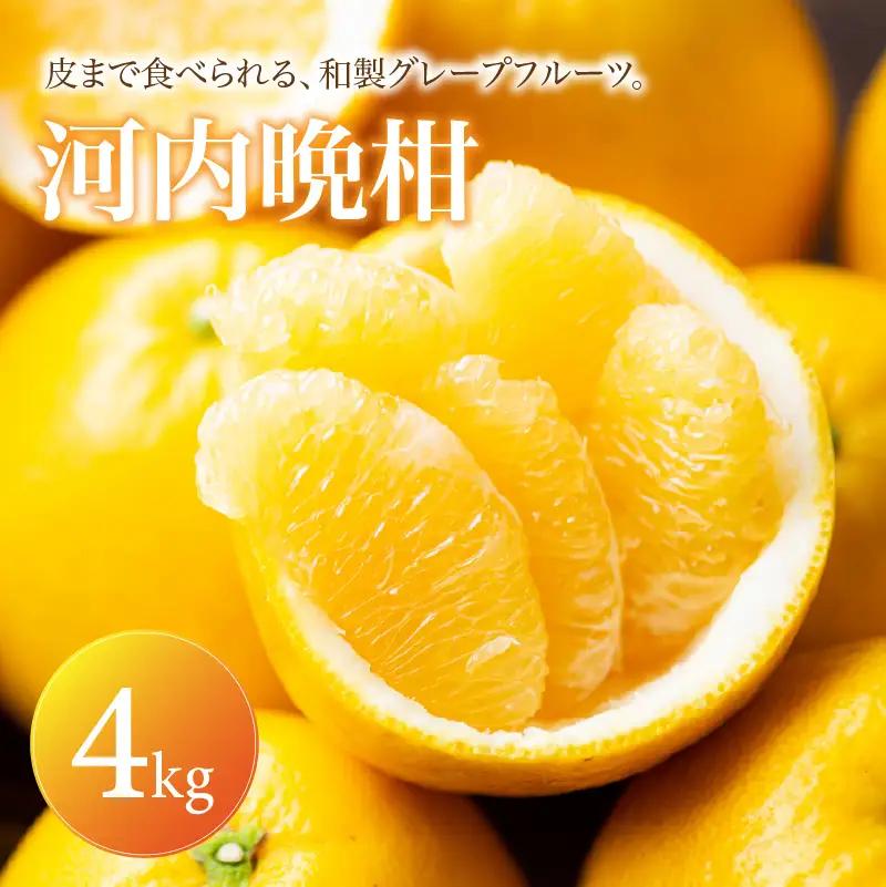 河内晩柑 家庭用 4kg 【2027年4月上旬頃から順次発送】 | みかん ミカン mikan 蜜柑 訳ありフルーツ 柑橘 果物 おすすめ お勧め お取り寄せ ギフト 愛媛県 松山市 【MKN059】