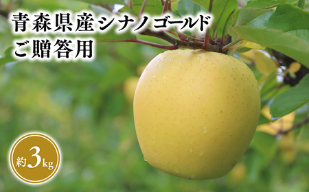2025年5～6月発送!　シナノゴールド3ｋｇ贈答用　【そと川りんご園】りんご リンゴ 林檎 りんご 青森 平川市産 