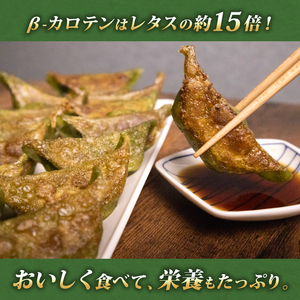 サンチュ餃子 48個 餃子