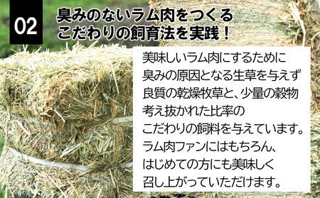 大月のびのび放牧羊【ラムステーキ】400g(肩ロース200g モモ200g)