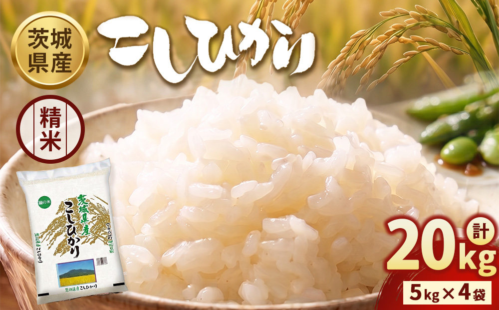 【令和7年産】茨城コシヒカリ 20kg（5kg×4袋）【精米】 | お米 米 こしひかり 茨城県産 白米 ブランド米 小分け