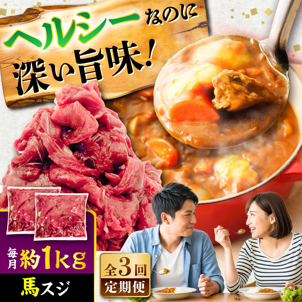【ふるさと納税】【全3回定期便】馬スジ 約1kg (約500g×2パック) / 馬肉 スジ 馬すじ 煮込み 煮物 カレー お肉 スジ肉 スジ すじ肉 料理用 馬 肉 熊本 すじ【五右衛門フーズ】[BHCY042]