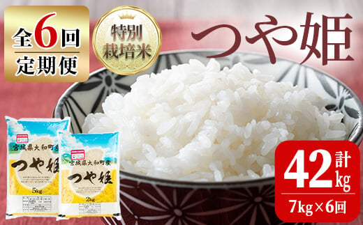 
【令和6年産】＜6か月定期便＞特別栽培米 つや姫 7kg×6回(合計42kg) お米 おこめ 米 コメ 白米 ご飯 ごはん おにぎり お弁当 頒布会【農事組合法人若木の里】ta251
