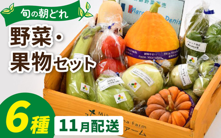 朝どれ 旬な野菜 果物セット 6種類セット【お届け対象月11月】　農薬・化学肥料不使用