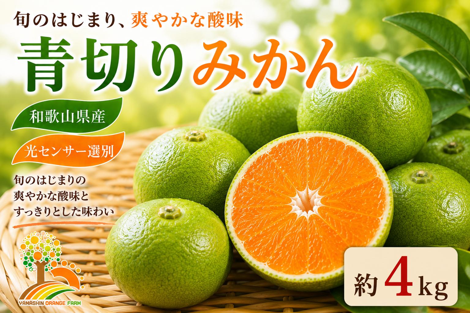 
            こだわりの青切りみかん 約4kg 農家直送 有機質肥料 100% サイズ混合 ｜ みかん 柑橘 果物 くだもの 果実 フルーツ 和歌山 有田 ※北海道・沖縄・離島への配送不可 ※2025年9月下旬～10月上旬頃に順次発送予定
          