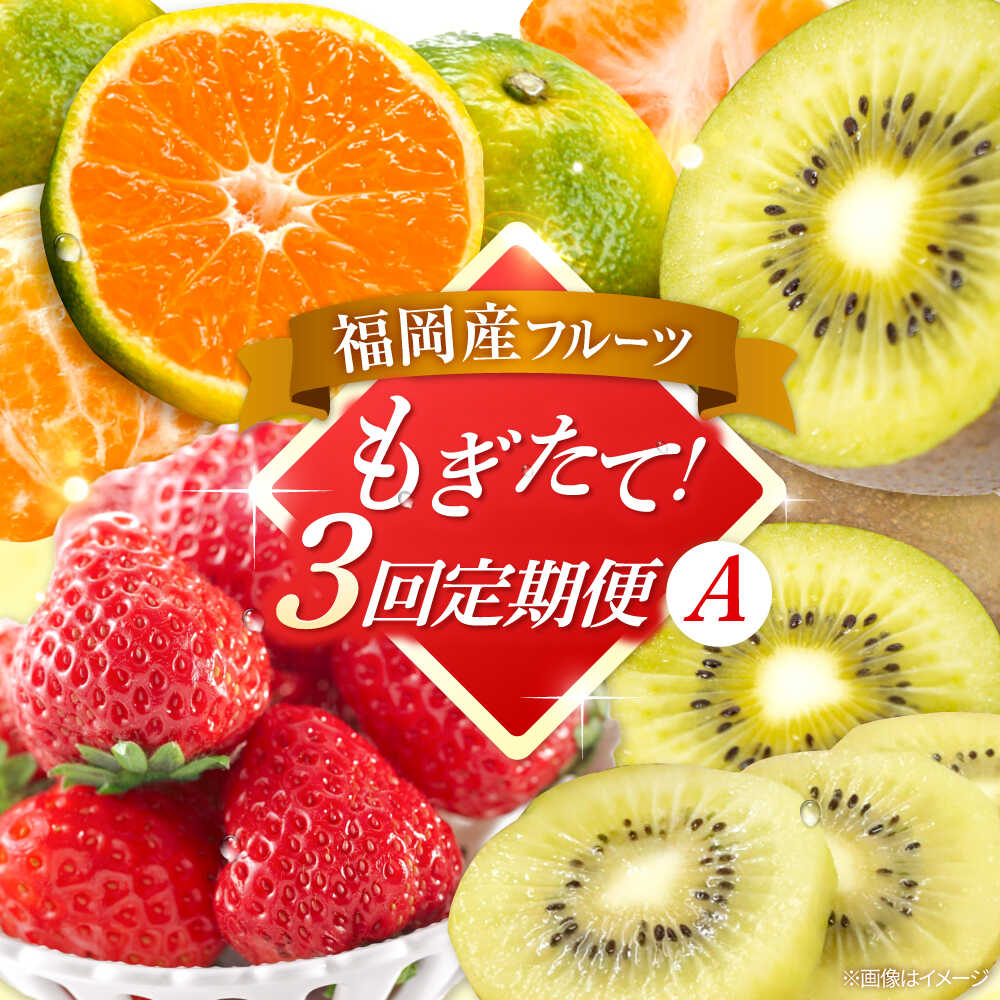 【ふるさと納税】【全3回定期便】九州・福岡もぎたて フルーツ定期便 A　桂川町/一般社団法人地域商社ふるさぽ[ADCF017] みかん いちご あまおう キウイ 甘うぃ 早味かん 高評価 おすすめ フルーツ 定期便 ランキング 旬 果物 新鮮 季節 40000 40000円 以上 4万円