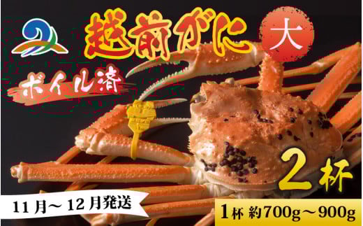 【先行予約】越前港より直送！ 越前がに 大 (約700g～900g) 2杯※発送前に在宅確認の電話連絡をいたします!【11月～12月発送予定】