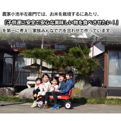 ふるさと納税 鶴岡市 数量限定【令和7年産】山形県庄内産 小池半左衛門のお米　はえぬき【玄米】5kg |  | 03