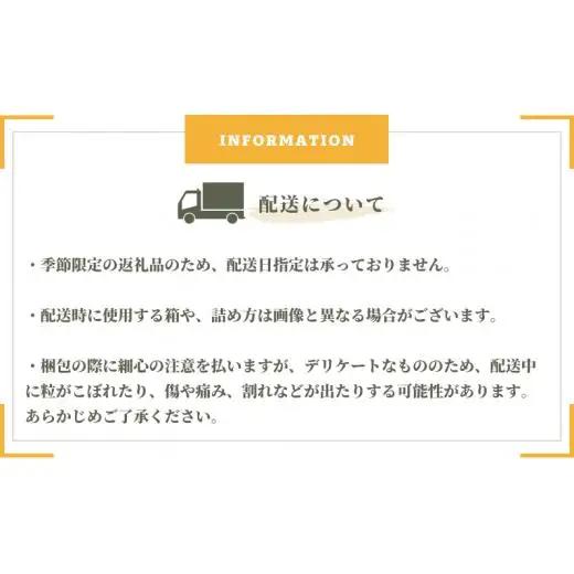 シャインマスカット 約2kg 3～4房 岡山県新見市 林農園 【先行予約 2026年10月上旬から順次発送】