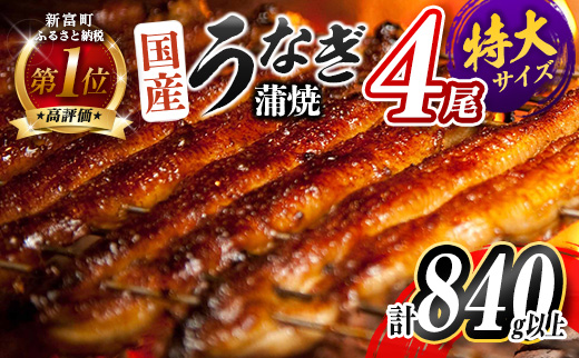 ［2026年8月お届け］特大 うなぎ 鰻楽 国産 蒲焼 4尾 無頭 計840g以上 期間限定 数量限定【C388-840-08】