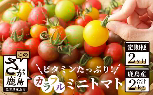 【先行予約】 カラフルミニトマト『Ricotomato』 【1kg×2回定期便】【2024年12月から出荷】 D-92