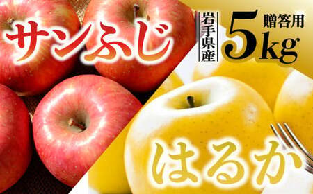 【先行予約】【希少品種】令和6年産 りんご サンふじ はるか セット 贈答用 5kg (14～18玉)  12月上旬発送開始 数量限定 希少 人気 お試し 甘い 旬 果物 リンゴ フルーツ 林檎 岩手県 金ケ崎町