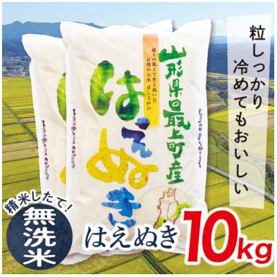 ふるさと納税 最上町 【令和7年産先行受付】山形県産はえぬき10kg(無洗米)
