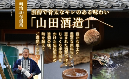 【ふるさと納税】 スパークリング日本酒 特別純米酒 最愛 スパークリング 270ml×6本 SAIAIPOP SPARKLING 山田酒造 スパークリング清酒 発泡性清酒 甘すぎない スッキリ ギフト