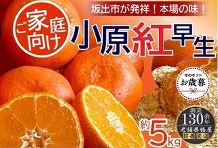 【お歳暮ギフト】ご家庭向け！小原紅早生みかん　約５ｋｇ【坂出発祥の真っ紅なお蜜柑】 |みかん フルーツ 旬 美味しい みかん 新鮮 フルーツ みかん 詰合せ セット フルーツ 人気 フルーツ 厳選 おすすめ フルーツ