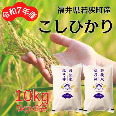ふるさと納税 若狭町 【令和7年産】福井県若狭町コシヒカリ(1等米)　10kg(5kg×2袋)