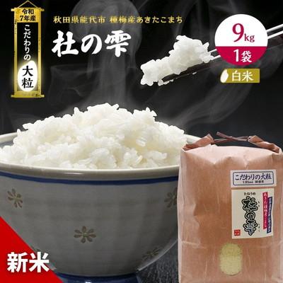 ふるさと納税 能代市 新米 令和7年産  精米 あきたこまち 杜の雫 9kg 1袋 [No.5335-0210]