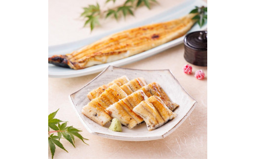 三河一色産手焼き炭火焼き活うなぎ白焼き　170g×3尾セット