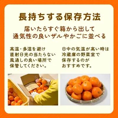 【先行予約】贈答品 愛媛みかん 3kg 傷み補償 250g 清家ばんかんビレッジ