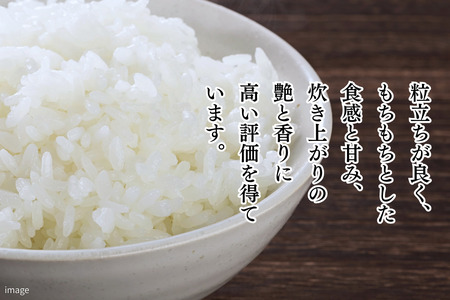 新米 令和7年 佐賀県産「さがびより」10kg（5kg×2袋）：B240-027