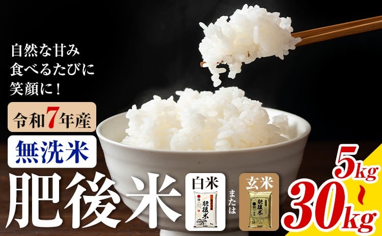 
                  熊本県産 肥後米 無洗米 白米 玄米 5kg/10kg/20kg/30kg 選べる内容量 1袋5kg 米 お米 令和7年産 九州産 熊本県産 送料無料【30日以内に出荷予定（土日祝除く）】玄米 無洗米 白米 米
                