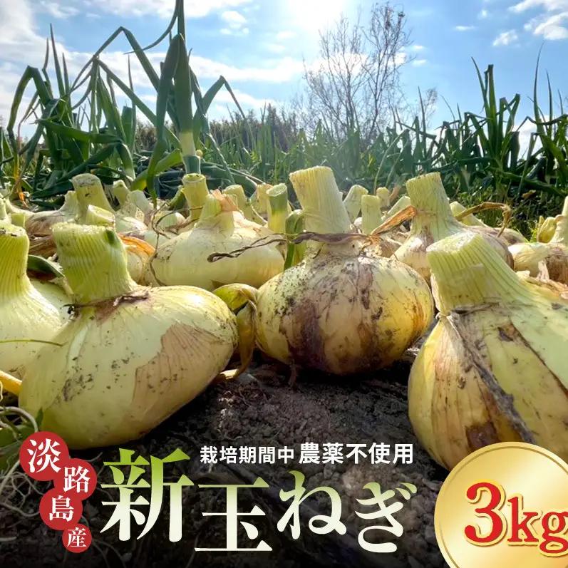 新玉ねぎ 淡路島産 3kg もぐもぐファーム 甘い 新玉ねぎ