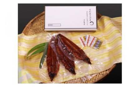【土用の丑用までにお届け】三河産うなぎ特大サイズ蒲焼×3尾(530g～550g)国産 三河産 うなぎ蒲焼×3尾（530g～550g）鰻 ウナギ 国産うなぎ 本格 鰻 蒲焼き 愛知県 西尾市 愛知養魚 海鮮 惣菜 丑の日 土用の丑の日 ・A087-25