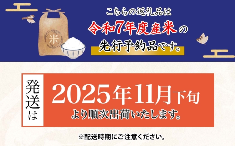 ＜先行予約＞令和7年産 はつしも 精米 10kg×1袋 低農薬 清流育ち 新米 お米 白米 米 ごはん ご飯 ハツシモ R7年産 ブランド米 産地直送 送料無料 美濃グリーン 岐阜県 美濃市 ■202