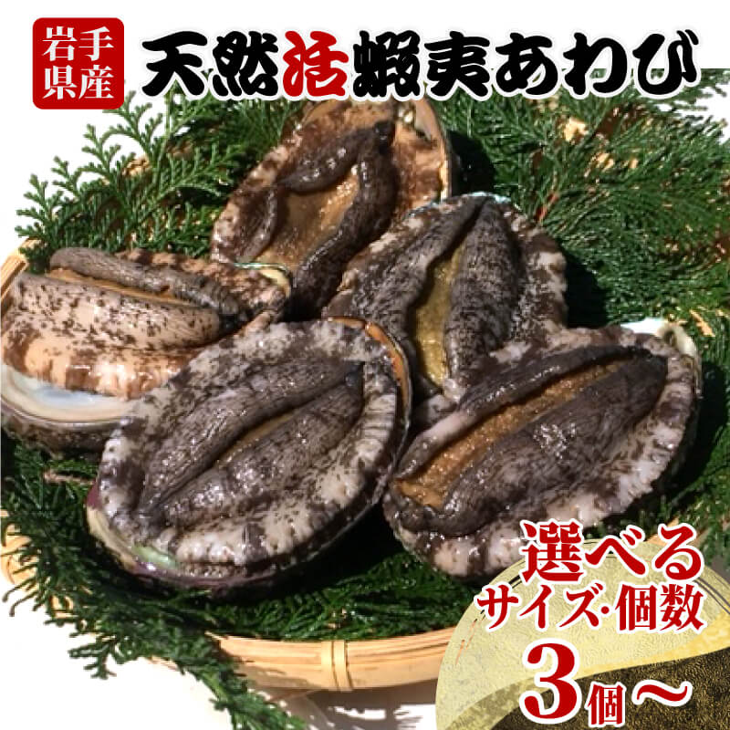 【ふるさと納税】 活あわび 選べる サイズ 個数 冷蔵 鮑 蝦夷あわび 活あわび アワビ 鮑 Abalone ステーキ バターソテー 正月 お正月 おせち 刺し身 刺身 ごはん 夕飯 おかず おつまみ 晩酌 米 丼 海産物 海鮮 魚介類 贈答品 お中元 お歳暮 大船渡 三陸 岩手県