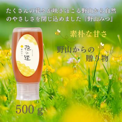 ふるさと納税 八女市 野山みつ　500g