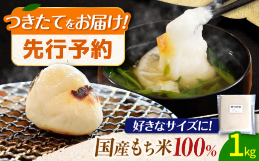 【12月中旬より発送】 みたけ のし餅 5合（約1kg）/餅 お餅 のしもち/御嵩町/株式会社アオキ [AVBN002]