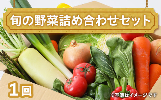 
田舎の頑固おやじ厳選！旬の野菜詰め合わせセット
