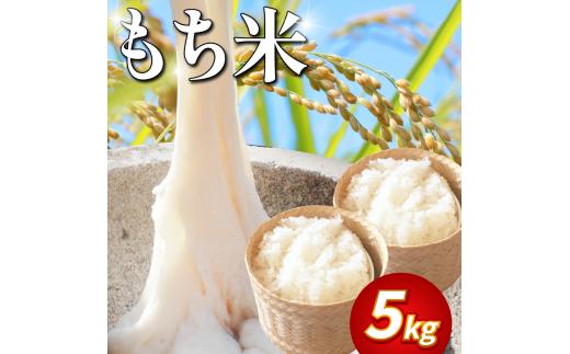 米 もち米 5kg 新米 令和7年産 餅 赤飯 おはぎ 備蓄 備蓄米 保存 防災 災害 おこわ 雑煮 大福 あられ イベント 餅つき 先行予約 阿波市 徳島県
