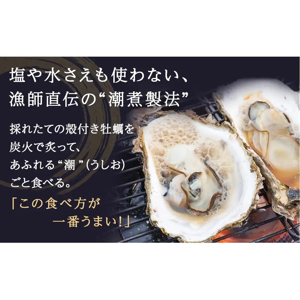 牡蠣 宮城県産 牡蠣の潮煮 130g 10個セット 1.3kg 農林水産大臣賞受賞 冷凍 宮城 牡蠣 牡蠣 牡蠣 牡蠣 牡蠣 牡蠣 牡蠣 カキ かき むき身 おつまみ パウチ レトルト 食品 惣菜 和