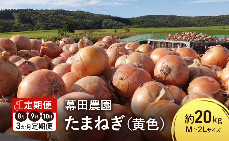【2025年先行受付】［3か月定期便］富良野産 黄色 玉ねぎ 約20kg（約75～80玉） M～2Lサイズ　野菜 新鮮 直送 黄玉ねぎ 玉葱 玉ネギ 道産 北海道 富良野市 ふらの 幕田農園