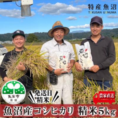 ふるさと納税 魚沼市 【令和8年産先行受付】農家直送 魚沼産コシヒカリ　精米5Kg 【特産魚沼】