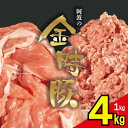 【ふるさと納税】 金時豚 豚肉 切り落とし ミンチ 選べるセット 1kg～4kg 国産 ぶたにく 豚 ぶた 肉 にく ポーク ひきにく 挽き肉 ブランド豚 小分け 真空パック 冷凍 赤身 豚こま 鍋 焼肉 惣菜 おかず おつまみ 弁当 日用 BBQ ギフト プレゼント 人気 おすすめ 送料無料