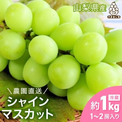 シャインマスカット 約1kg (1～2房) 農園直送 ! シャインマスカット【配送不可地域：離島・沖縄県】